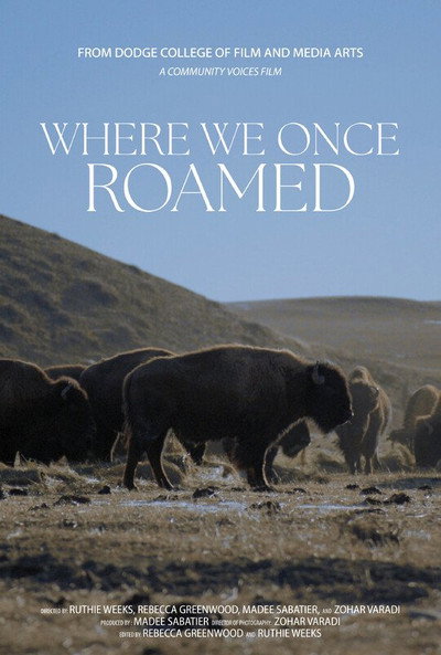 Póster de Where We Once Roamed