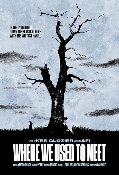 Póster de Where We Used to Meet
