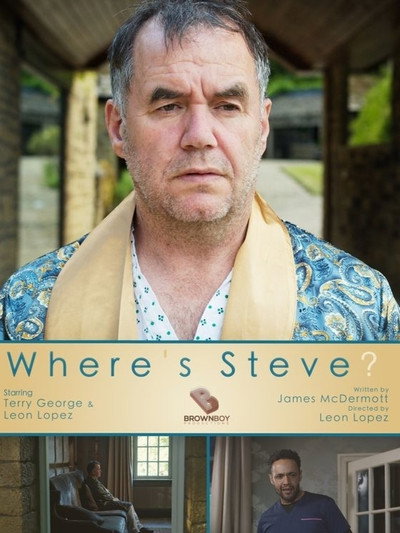 Póster de Where's Steve?