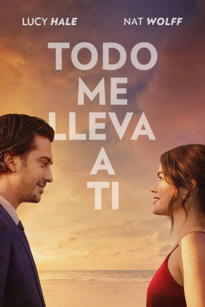 Póster de Which Brings Me to You