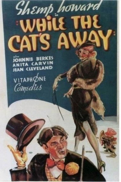 Póster de While the Cat's Away