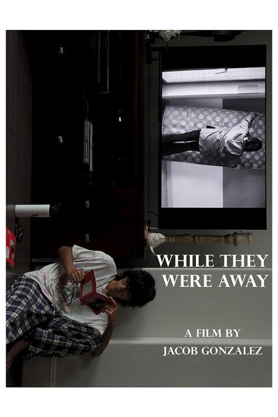 Póster de While They Were Away