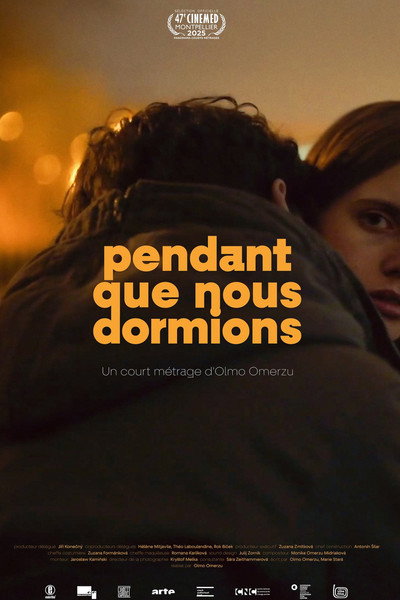 Póster de While we were sleeping