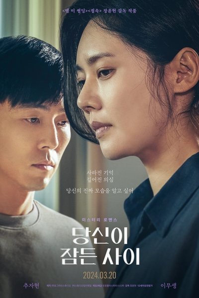 Póster de While You Were Sleeping