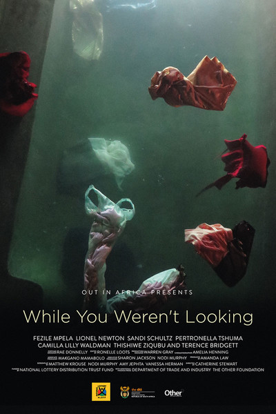 Póster de While You Weren't Looking