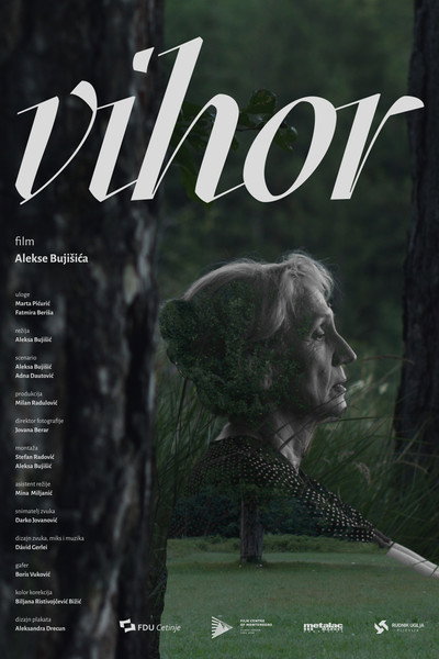 Póster de Whirlwind