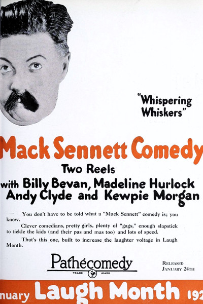 Póster de Whispering Whiskers