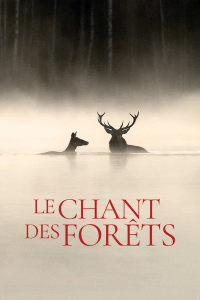 Póster de Whispers in the Woods