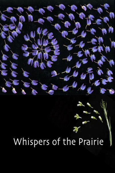 Póster de Whispers of the Prairie