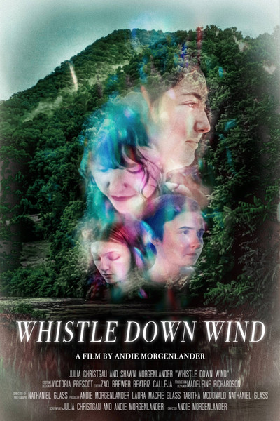 Póster de Whistle Down Wind