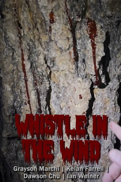 Póster de Whistle in the Wind
