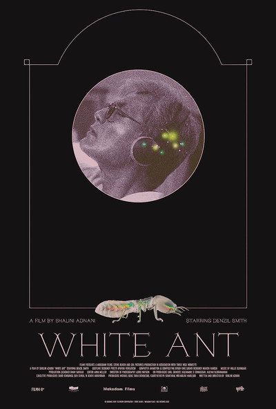 Póster de White Ant