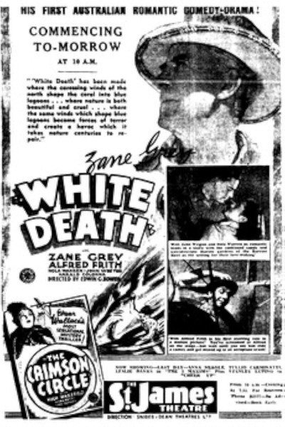 Póster de White Death
