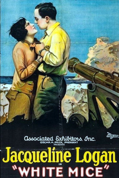 Póster de White Mice