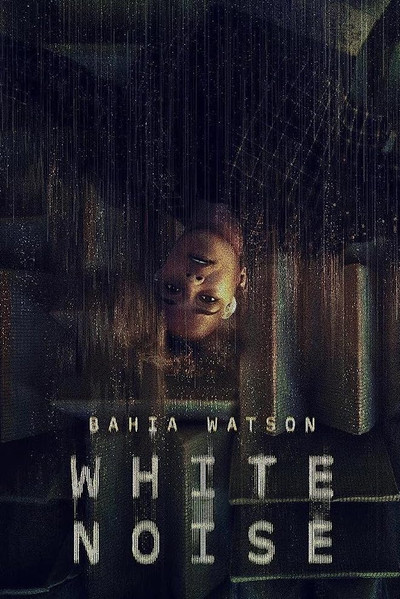 Póster de White Noise