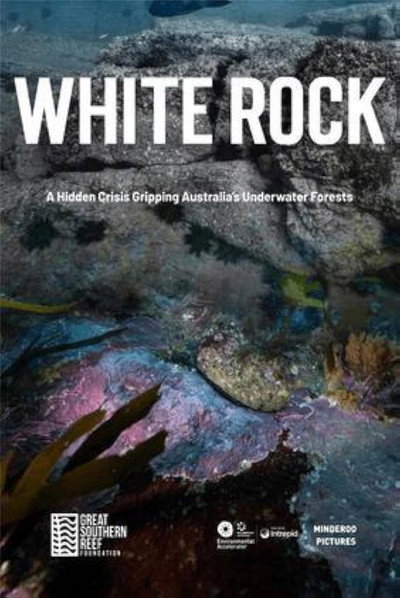 Póster de White Rock