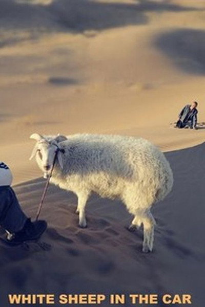 Póster de White Sheep in the Car