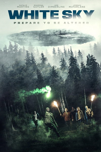Póster de White Sky