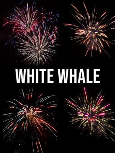 Póster de White Whale