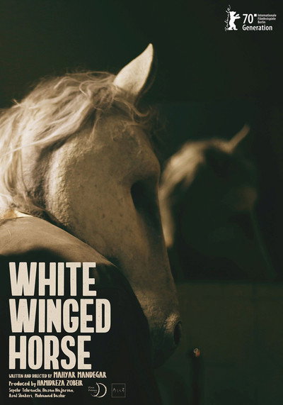 Póster de White Winged Horse