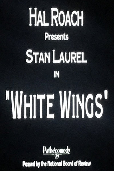 Póster de White Wings