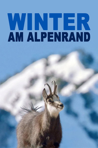 Póster de White Winter
