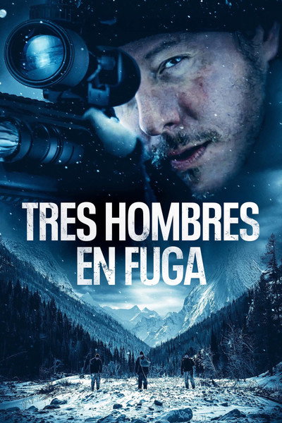 Póster de Whiteout