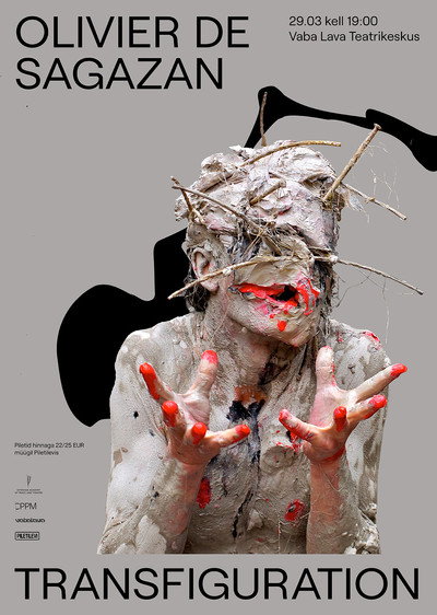 Póster de Who is behind our face?