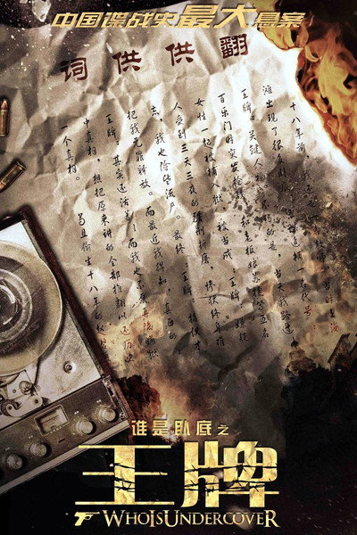 Póster de Who Is Undercover