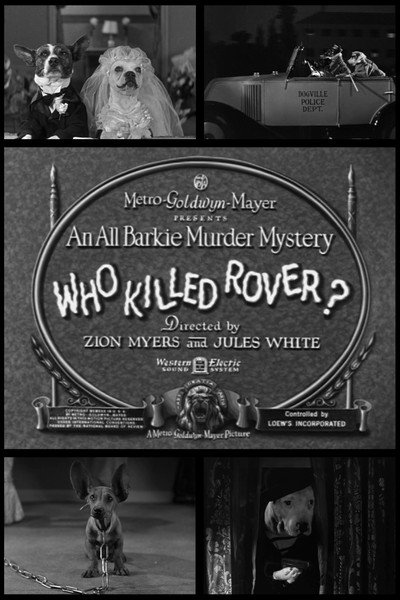 Póster de Who Killed Rover?