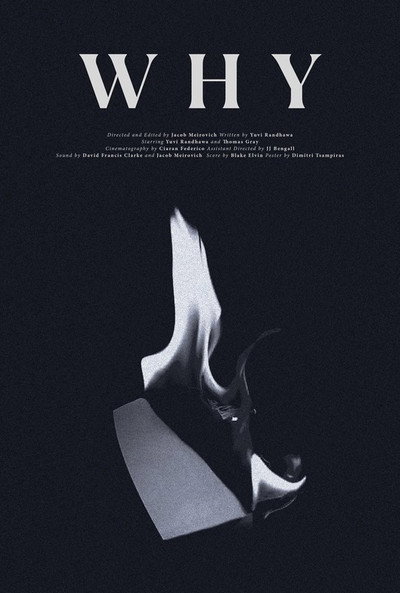 Póster de Why