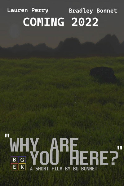 Póster de Why Are You Here?