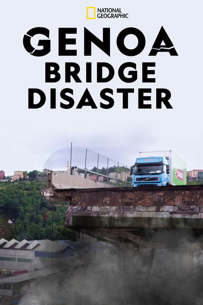 Póster de Why Bridges Collapse