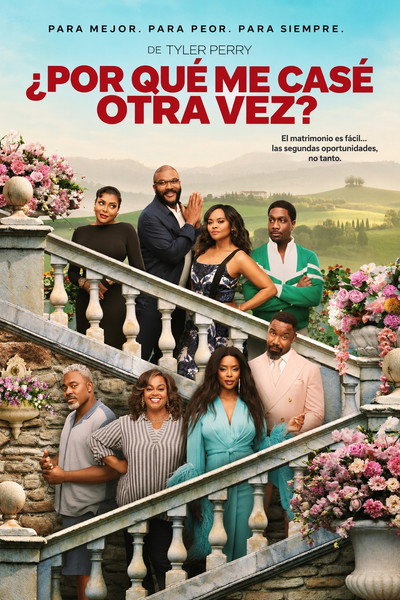 Póster de Why Did I Get Married Again?