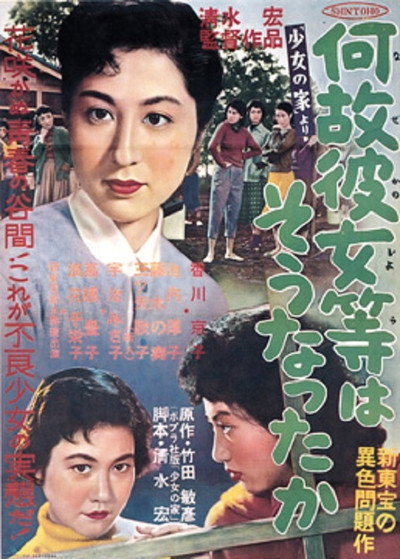 Póster de Why Did These Women Become Like This?