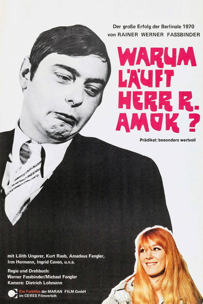 Póster de Why Does Herr R. Run Amok?