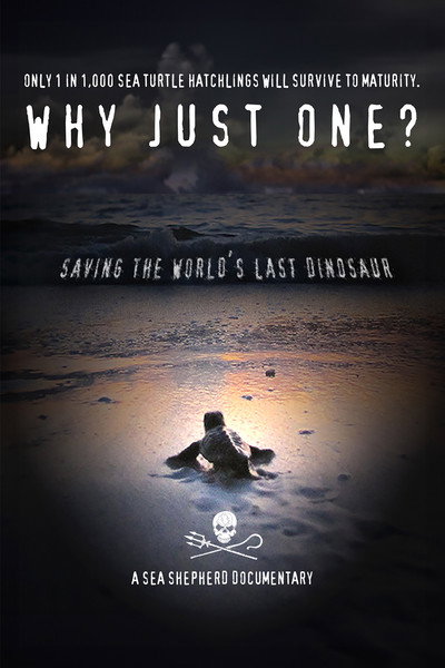 Póster de Why Just One?