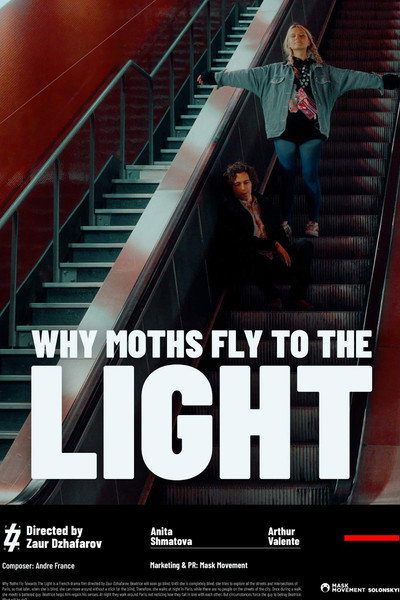 Póster de Why Moths Fly to the Light?