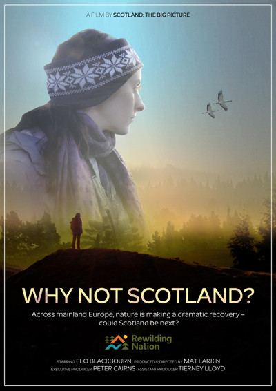 Póster de Why Not Scotland?