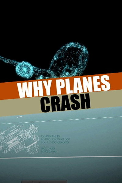 Póster de Why Planes Crash: Human Error