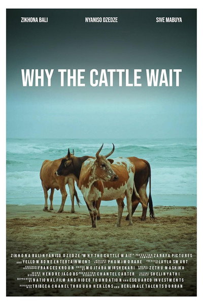 Póster de Why the Cattle Wait