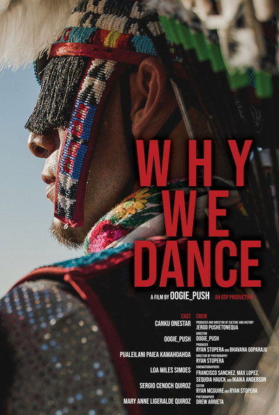 Póster de Why We Dance