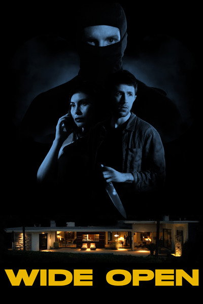 Póster de Wide Open