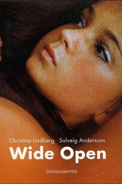 Póster de Wide Open