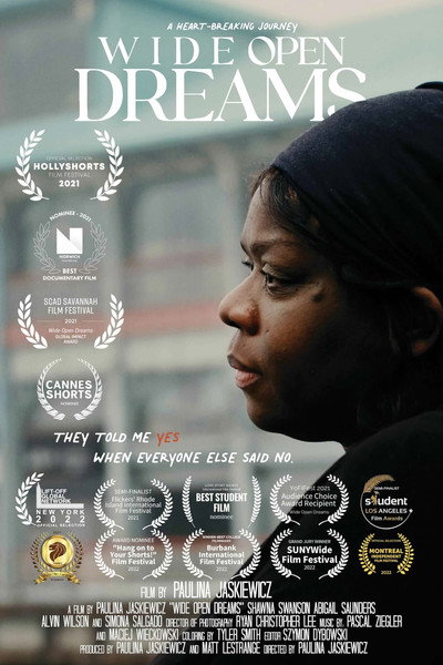 Póster de Wide Open Dreams