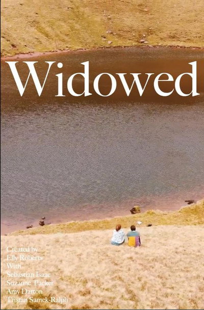 Póster de Widowed