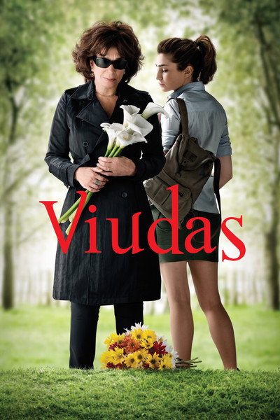 Póster de Widows