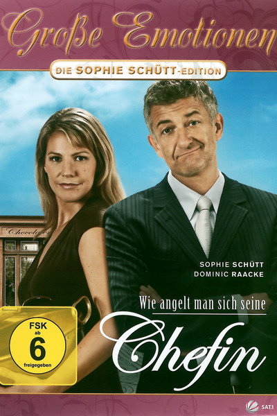 Póster de Wie angelt man sich seine Chefin