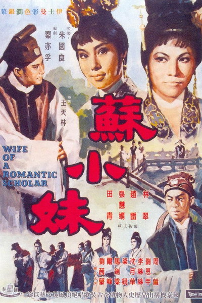 Póster de Wife of a Romantic Scholar