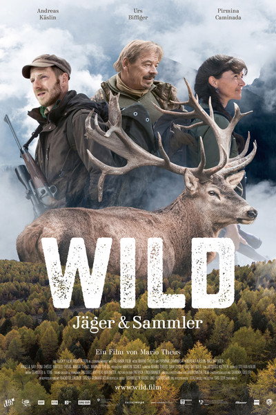 Póster de Wild